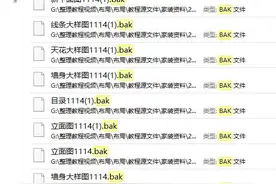 CAD中的bak文件#dou来聊职场