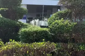 千万不要在泰国怀孕！不然.....#怀孕 #四脚吞金兽 #泰国 #泰式vlog视频封面
