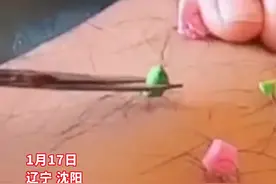 女儿薅爸爸腿毛给泥人做头发,网友:绝对是亲生的，就是没想到这小棉袄漏风~#童年玩具 #萌娃视频封面