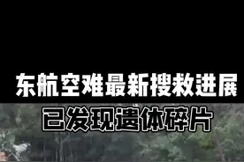 东航空难：已发现部分飞机残骸和人体组织碎片视频封面