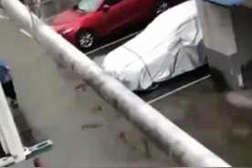 #大爷 与#老伴 #下楼 #淋雨视频封面