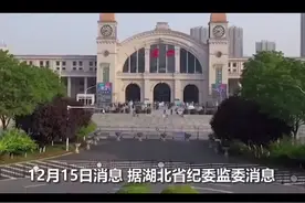 武汉副市长徐洪兰被查，5天前曾公开露面接待外宾视频封面