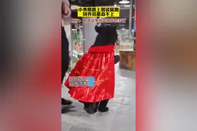 小黑熊披上袈裟就跑，饲养员都追不上#小熊 #西游记视频封面