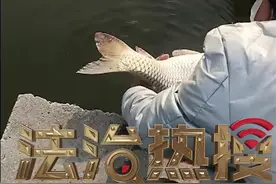 男子钓到大鱼后 却选择放生#法治热搜 视频封面