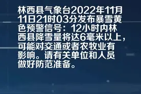 林西县气象台发布暴雪黄色预警[III级/较重]视频封面