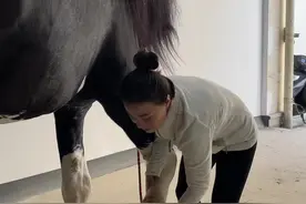 马儿钉蹄到底痛不痛#马 #宠物美容 #尼寇是匹马