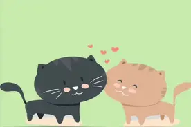 被猫咪抓出了一点血，不打针行吗？#包子脸鲜猫饭 #萌宠 #猫咪 @抖音短视频视频封面