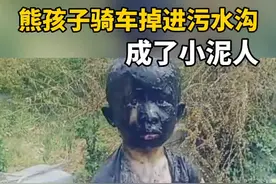 熊孩子骑车掉进污水沟，成了小泥人！好心人帮忙捞车子，还有提拉板。#安全 #教育 #好心人视频封面