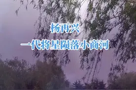 绍兴十年杨再兴率三百特种兵在小商桥同金军遭遇，杀敌三千余。杨再兴误陷小商河泥潭中，身中千余箭，一代将星就此陨落视频封面