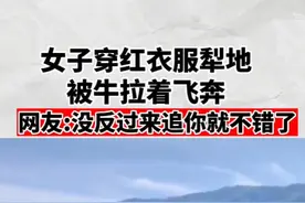 女子穿红衣服犁地，被牛拉着飞奔。网友:没反过来追你就不错了#社会百态 #生活趣事 #搞笑 视频封面