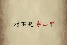 比大熊猫还稀有的穿山甲，需要得到保护 #穿山甲  #动物