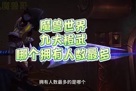 魔兽世界9大橙武哪有拥有人数最多，你拥有几个？  #魔兽世界视频封面