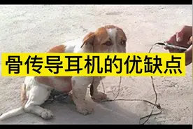 骨传导耳机的好处是什么？骨传导耳机优缺点#骨传导耳机 #骨传导视频封面