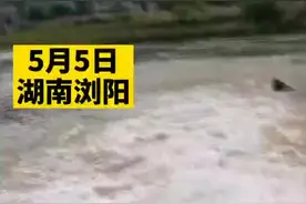 好人有好报。6岁女童被冲下洪流，男子热心施救后发现竟然是自己女儿。视频封面