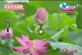 #海绵文胸：是胸罩？还是凶兆？ 我们90%的女性穿过海绵文胸视频封面