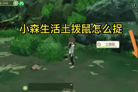 小森生活土拨鼠怎么捉 #手游  #小森生活视频封面