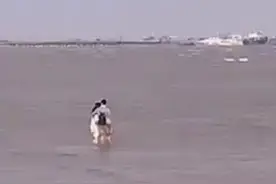 3日在上海，海水涨潮情侣站水中亲热，保安撕心呐喊：别亲了！视频封面