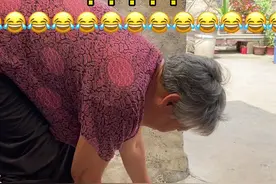 奶奶：挺大个猫了不要个猫脸，还吃奶！花花：就是！！😂#猫咪 #奶奶视频封面