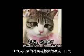 三分钟笑话大全爆笑一秒，笑喷的段子开心一刻#看一遍笑一遍视频封面