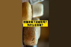 奶酪发霉了还能吃吗？为什么会发霉？有困扰的小伙伴快来看看吧😉视频封面
