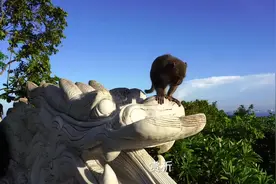 庄子《逍遥游》赏析#庄子#逍遥游#北冥有鱼，其名为鲲视频封面