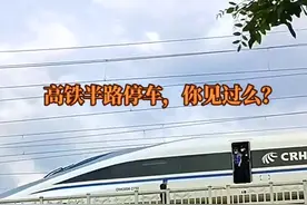 高铁半路临时停车，随车技术员下车检修，你见到过么？#高铁 #交通强国铁路先行 #CRH和谐号 视频封面