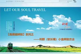 真假烟辨别系列——利群（软长嘴）真假烟辨别技巧
#315打假