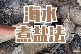海水提取盐分的正确方法，现在你知道了么#户外 #探险 #野外生存 #旅行视频封面