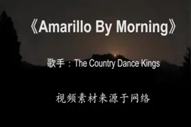 听过这首歌的人应该不多吧#阿马里洛的早晨视频封面