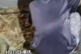 重庆95岁外婆深夜熬稀饭支援救火队员视频封面