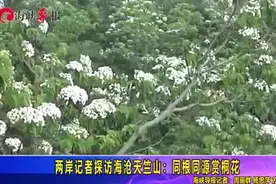 两岸记者探访海沧天竺山：
同根同源赏桐花视频封面