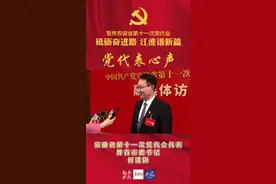 安徽省第十一次党代会代表界首市委书记何逢阳接受采访视频封面