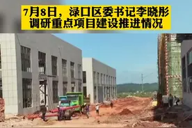7月8日，渌口区委书记李晓彤调研重点项目建设推进情况#株洲 视频封面