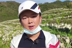 甜度是够高了。就是还是略带酸，整体酸度会比2月低了一点点。甜酸可口#凤梨 #菠萝 视频封面
