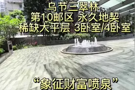 新加坡豪宅-乌节三翠林 黄金地段，中央核心区 稀缺的大平层视频封面