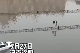 河南洛阳暴雨积水，女子穿拖鞋淡定走护栏通过。网友：有点真功夫👍视频封面