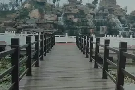 临颍的千亩湖，白亩湖，桂湖，县城不大，湖不少😂😂#家乡美景视频封面