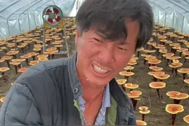 烧麦倒霉了，倒了包子少视频封面