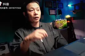 关于猫咪要不要绝育，阐述我的个人观点#猫咪绝育 #布偶猫繁育人视频封面