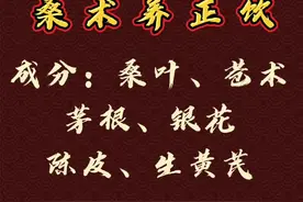 正气存内邪不可干——快收藏北京中医医院院长协定方“桑术养正饮”#北京加油 #中医视频封面