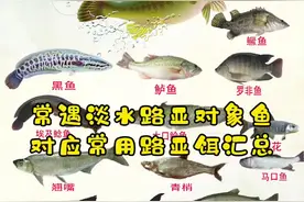 工欲善其事，必先利起器#路亚 常见对象鱼对应路亚饵（上）#涨知识 #我要上热门视频封面