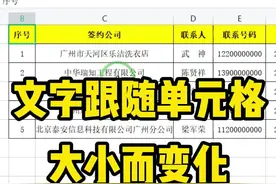 文字过长，调小列宽后文字就显示不全，来看下高手是如何解决的.#wps办公技巧 #excel技巧视频封面