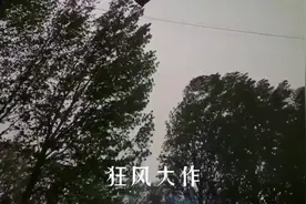 天津宝坻，罕见同时出现沙尘暴电闪雷鸣大雨，瞬间天黑的像晚上视频封面