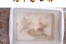 最适合草龟类，过冬和饲养的方式！你们乌龟有碰到过腐皮烂甲的情况吗，而且换水也没用？那么黄泥水和鬼针草可以解决。