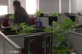 近日 知名券商员工炒股147亿被罚没超1亿，刘某任职海通证券期间违法“炒股”交易147亿元，盈利5464万元 视频封面