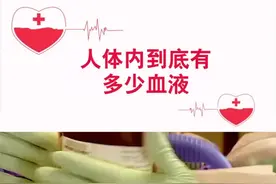 人体内到底有多少血液，你知道吗？#无偿献血爱心传递 #无偿献血 #血液#淄博视频封面