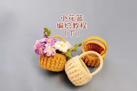 小花篮编织教程（下）#毛线编织 #钩针教程视频封面