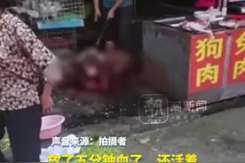 8月3日（发布），江西赣州。女子将狗托爸爸熟人领养，当天被卖给商贩杀掉：对方曾承诺好好养，事后态度非常无所谓视频封面