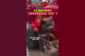 7月7日（采访），浙江宁波，女生准备结婚嫁妆，顺手把家里猫咪也“打包”了，养了五年感情就很深。#爆料入口视频封面