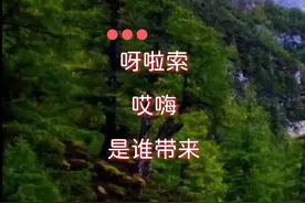 #经典歌曲 #经典老歌 #回顾经典老歌 #百听不厌 #完整版 #原唱 #青藏高原 #李娜 @抖音短视频 